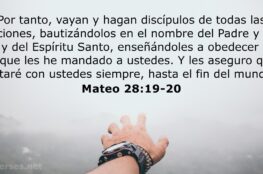 Mateo 28 19-20 Biblia Catolica