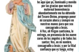 Oración a la Inmaculada Concepción para Pedir un Favor