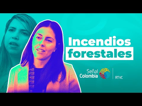 Cuales son las causas de los incendios forestales