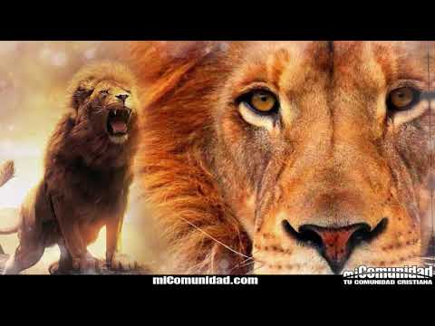 Te pondrá Jehová por cabeza, y no por cola