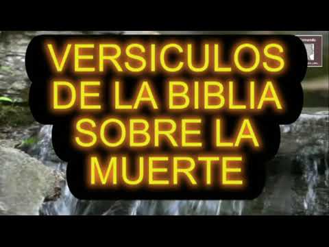 Versículos sobre la muerte y vida eterna