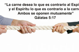 como-vivir-en-el-espiritu-y-no-en-la-carne