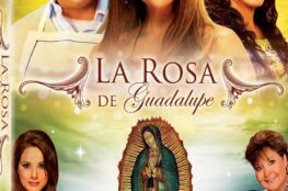 ¿Cuántos episodios tiene La Rosa de Guadalupe?