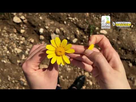 Frases cristianas de consuelo por muerte de una madre