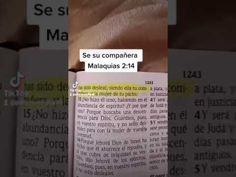 Qué dice la Biblia sobre el esposo violento?