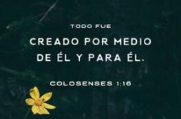 todas-las-cosas-fueron-creadas-por-el-y-para-el
