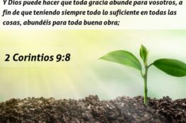 versiculos-biblicos-de-quienes-hallaron-gracia-delante-de-dios