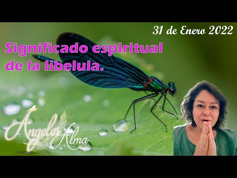 Significado de la libélula en la Biblia