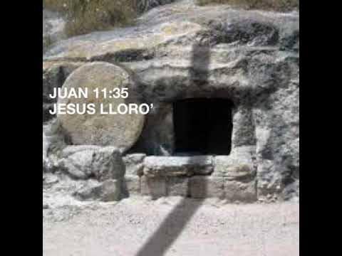 Cuál es el versículo más corto de la Biblia: Jesús lloró (Juan 11:35).