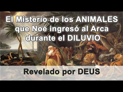 Fotos de animales que no subieron al arca de Noé