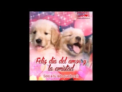 Imágenes de amor y amistad, 14 de febrero