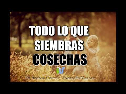 7 versículos sobre la siembra y cosecha