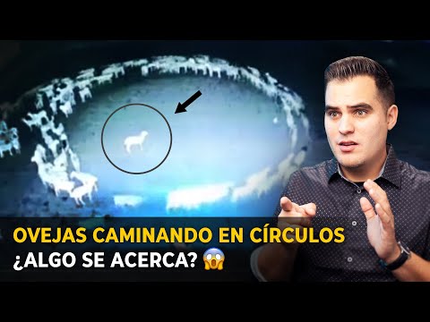 Animales dando vueltas en círculos, Biblia.