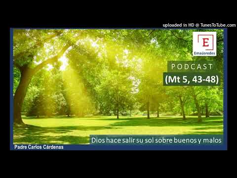 Hace salir el sol sobre buenos y malos