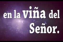 de-todo-hay-en-la-vina-del-senor-no-hay-punto-final