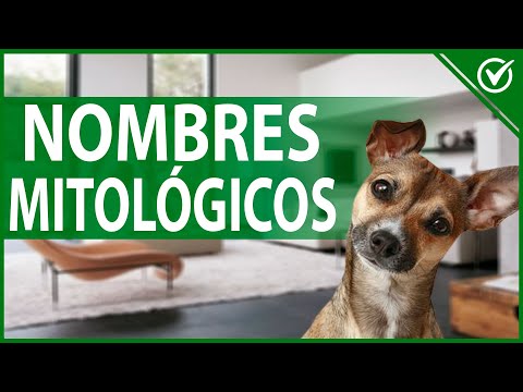 Nombres de dioses aztecas para perros