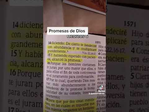 Cuáles son las 3,573 promesas de la Biblia