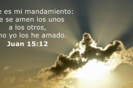 juan-1512-14-biblia-catolica