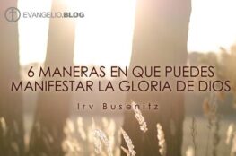 que-nos-impide-ver-la-gloria-de-dios
