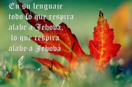 todo-lo-que-respire-alabe-a-jehova
