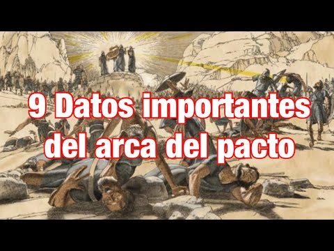 Quienes podían cargar el arca del pacto