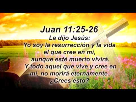 Yo soy la resurrección, y la vida. El que cree en mí, aunque muera, vivirá.