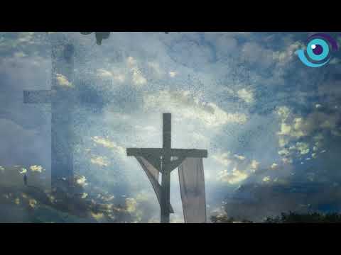 Dios todopoderoso, que habéis sufrido la muerte en el árbol particular