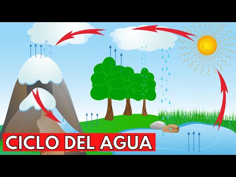Cuando se descubrió el ciclo del agua Cuando se descubrió el ciclo del agua