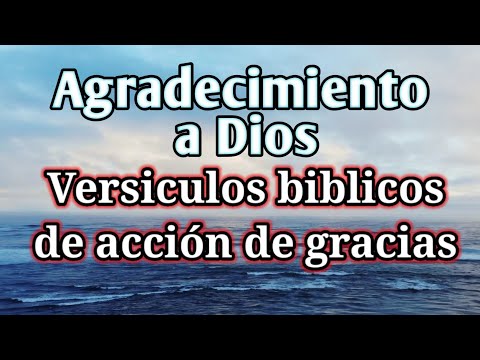 Versículos de agradecimiento a Dios por el trabajo