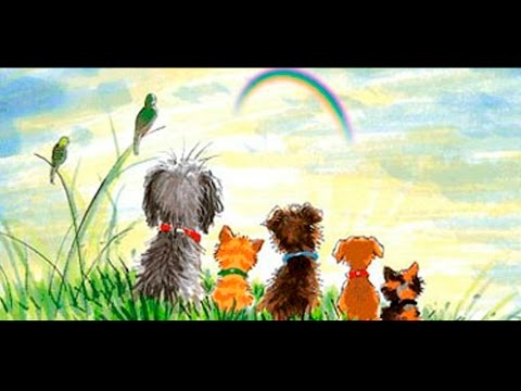 Los perros te ayudan a cruzar el río cuando mueres