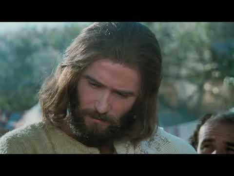 Jesus multiplicó el pan y los peces