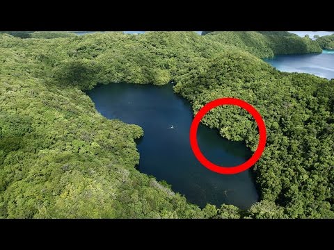 7 cosas que la ciencia no puede explicar