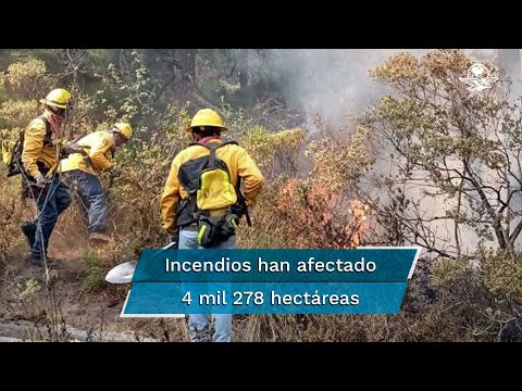 En qué temporada se presenta la mayor cantidad de incendios en México En qué temporada se presenta la mayor cantidad de incendios en México