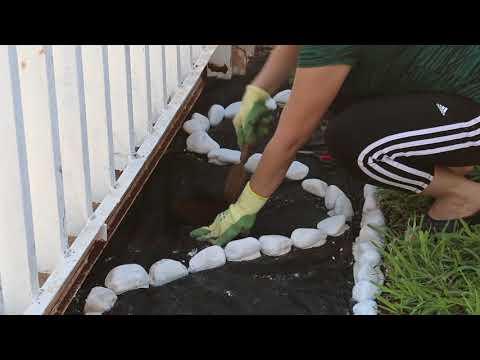 Cómo arreglar un jardín con poco dinero