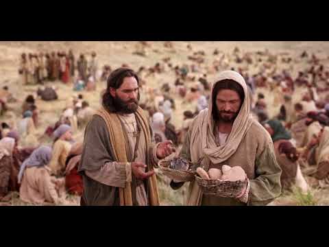 Multiplicación de los panes y peces, Biblia
