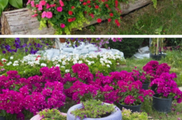 como-arreglar-un-jardin-con-poco-dinero