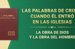 cosas-que-el-hombre-ha-transformado-con-su-trabajo-perfeccionando-la-obra-de-dios