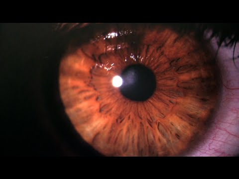 Qué les pasa a los niños que ven mucho celular