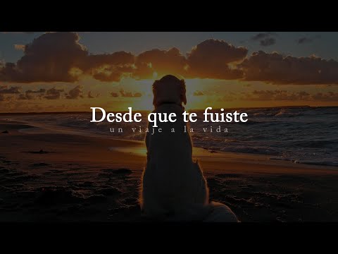 Palabras de aliento por la muerte de un animal