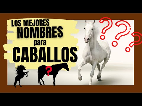 Nombres indios para caballos y su significado