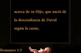 La historia de David en la Biblia, versículos