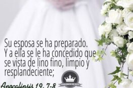 la-iglesia-es-la-novia-de-cristo