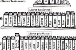 libros-de-la-biblia-cristiana-para-colorear
