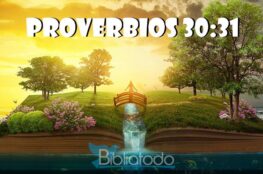 maldita-la-casa-donde-la-gallina-canta-biblia