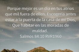 mejor-es-estar-un-dia-en-tus-atrios