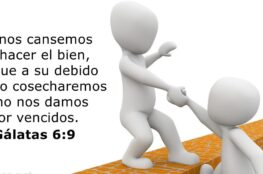 no-nos-cansemos-de-hacer-el-bien