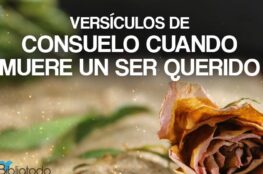 reflexiones-cristianas-cuando-muere-un-ser-querido