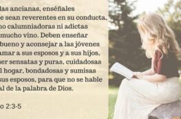 ejemplos-de-conducta-de-la-mujer-idonea