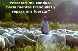 el-senor-es-mi-pastor-salmo-catolico