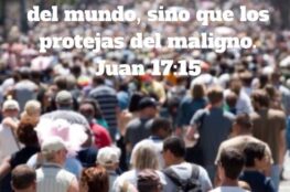 no-te-pido-que-los-quites-del-mundo